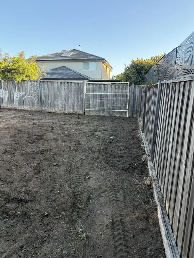 Backyard Earthworks